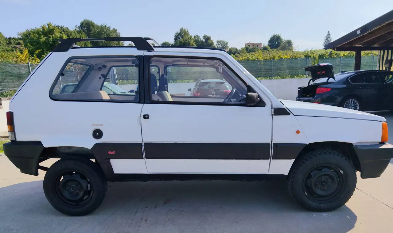 Fiat Panda 1.0 Davignon 4x4 cat., foto 6