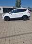Ford Kuga 2,0 TDCi Trend Weiß - thumbnail 3