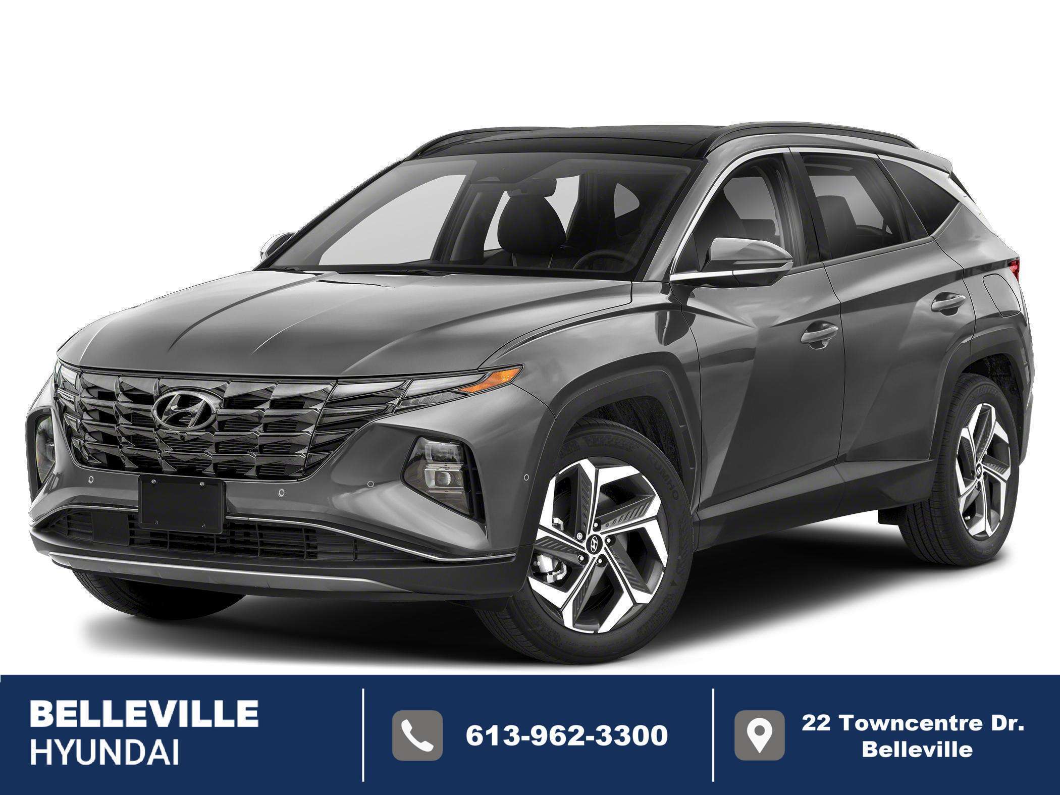 Gray 2024 Hyundai Tucson SUV / Crossover  Automatic