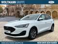 Ford Focus Titanium 1.0 EcoBoost Mild-Hybrid EU6d Navi LED Ap Blanc - thumbnail 1