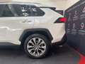 Toyota RAV 4 RAV4 2.5 HV (222CV) E-CVT AWD-i Lounge - thumbnail 7