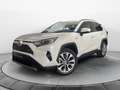 Toyota RAV 4 RAV4 2.5 HV (222CV) E-CVT AWD-i Lounge - thumbnail 1