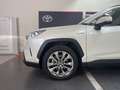 Toyota RAV 4 RAV4 2.5 HV (222CV) E-CVT AWD-i Lounge - thumbnail 6