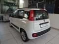 Fiat Panda 1.3 MJT 95 CV S&S Lounge Blanc - thumbnail 4