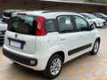 Fiat Panda New 1.2 69 cv. EasyPower LOUNGE (Imp. GPL) Bianco - thumbnail 3