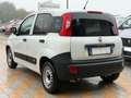 Fiat Panda New 1.2 69 cv. EasyPower 2 posti VAN POP (Imp GPL) Bianco - thumbnail 4