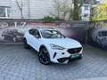 CUPRA Formentor VZ 2,0 TSI 4Drive DSG Weiß - thumbnail 1
