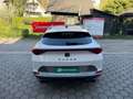 CUPRA Formentor VZ 2,0 TSI 4Drive DSG Weiß - thumbnail 6