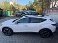 CUPRA Formentor VZ 2,0 TSI 4Drive DSG Weiß - thumbnail 12