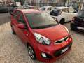 Kia Picanto 1.0 69cv 5p UNIPRO’TUTTI TAGLIANDI KIA PERFETTA Rouge - thumbnail 8