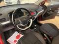 Kia Picanto 1.0 69cv 5p UNIPRO’TUTTI TAGLIANDI KIA PERFETTA Rouge - thumbnail 14