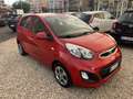 Kia Picanto 1.0 69cv 5p UNIPRO’TUTTI TAGLIANDI KIA PERFETTA Rouge - thumbnail 2