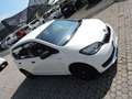 Skoda Citigo 1.0 75 CV 5 porte Blanco - thumbnail 3