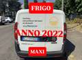 Fiat Doblo MAXI 1.6mjt 120cv FRIGO Anno 2022 Bianco - thumbnail 6