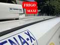 Fiat Doblo MAXI 1.6mjt 120cv FRIGO Anno 2022 Bianco - thumbnail 5