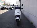 Niu MQi GT 70km/h 3100W (!! Herbstoffensive ! Hammerpreis Wit - thumbnail 11