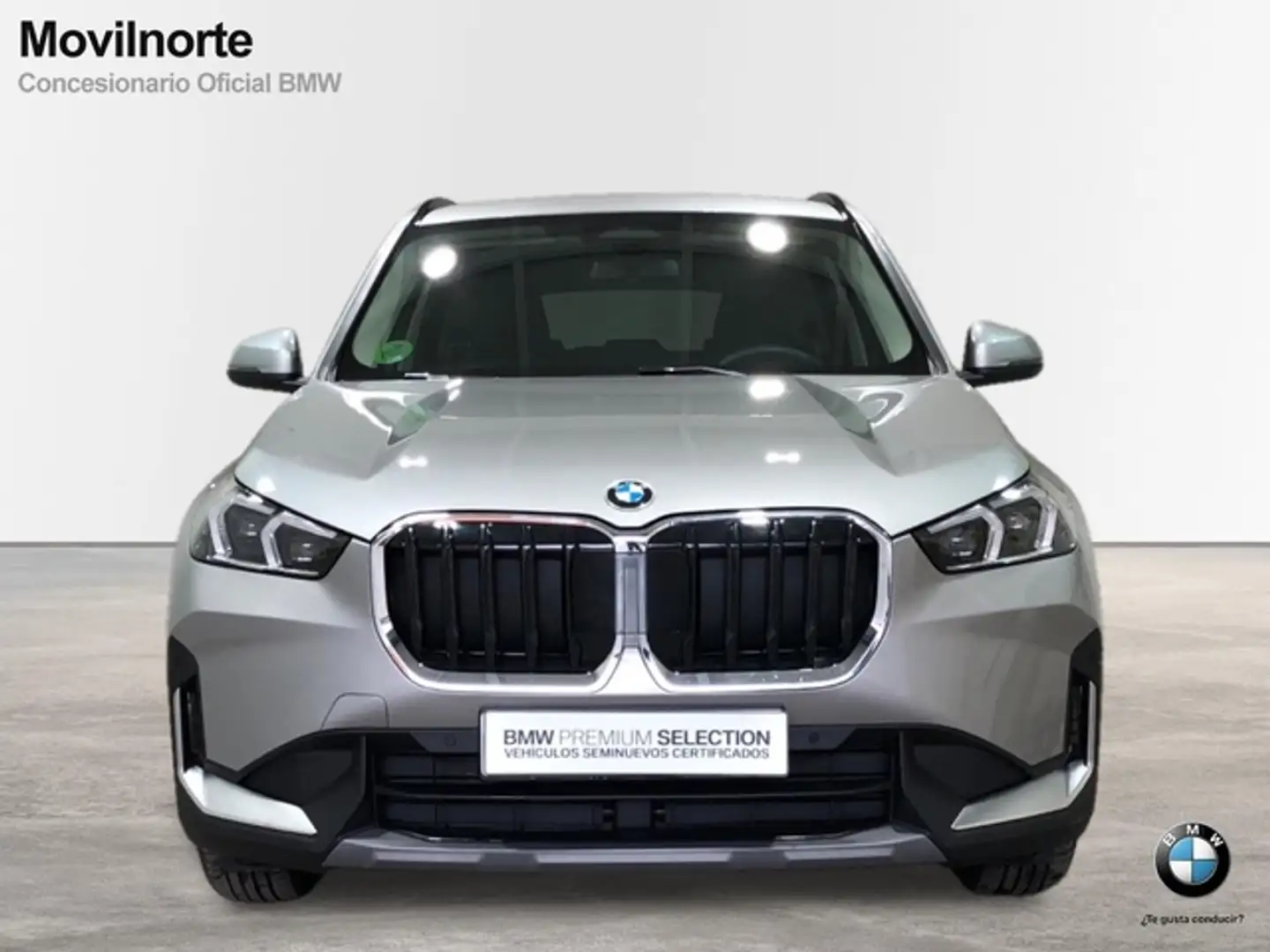 BMW X1 sDrive 18dA Argento - 2
