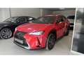 Lexus UX 250h Premium 2WD Roşu - thumbnail 3