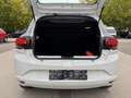Dacia Sandero Sandero SCe 65 Access Blanc - thumbnail 13
