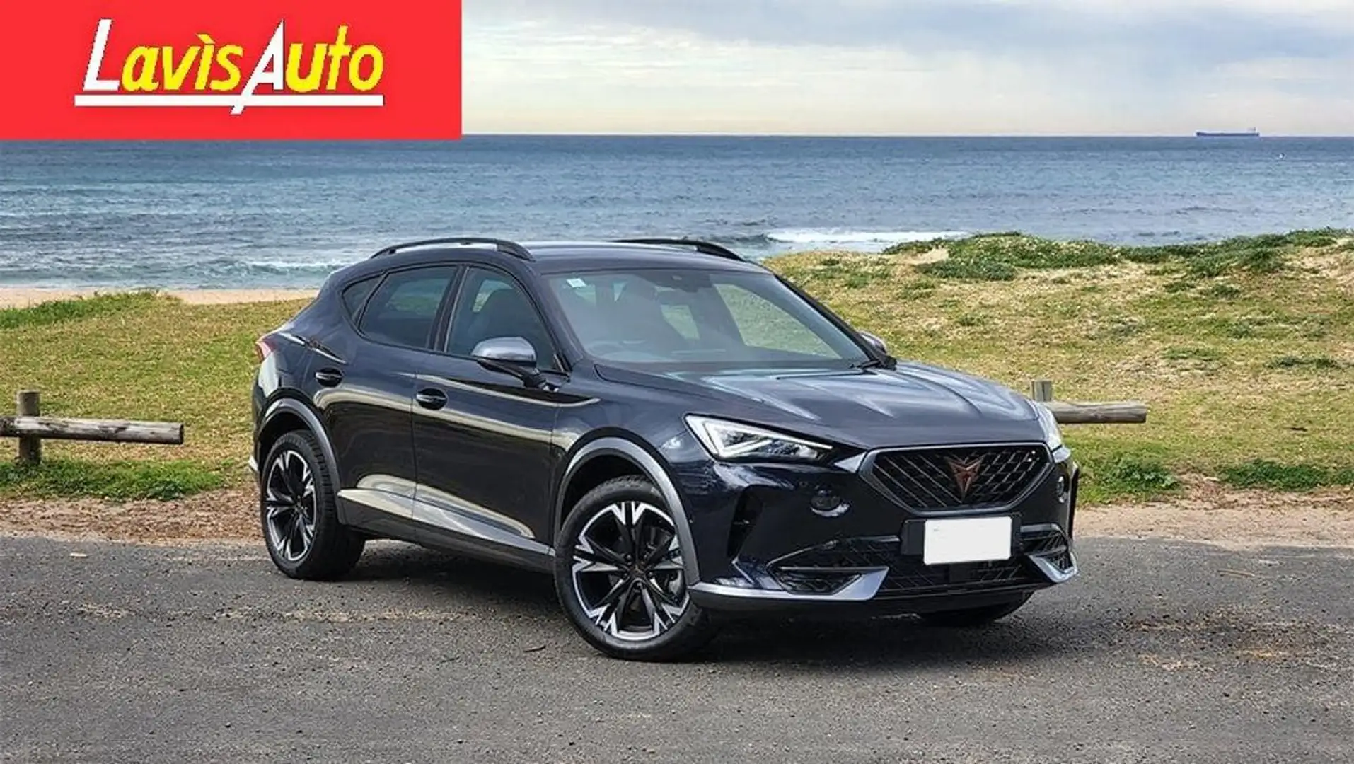 CUPRA Formentor 2.0 TDI 4Drive DSG Grigio - 1