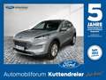 Ford Kuga Titanium X 2.5 FHEV NAVI*CAM*ACC Argento - thumbnail 1