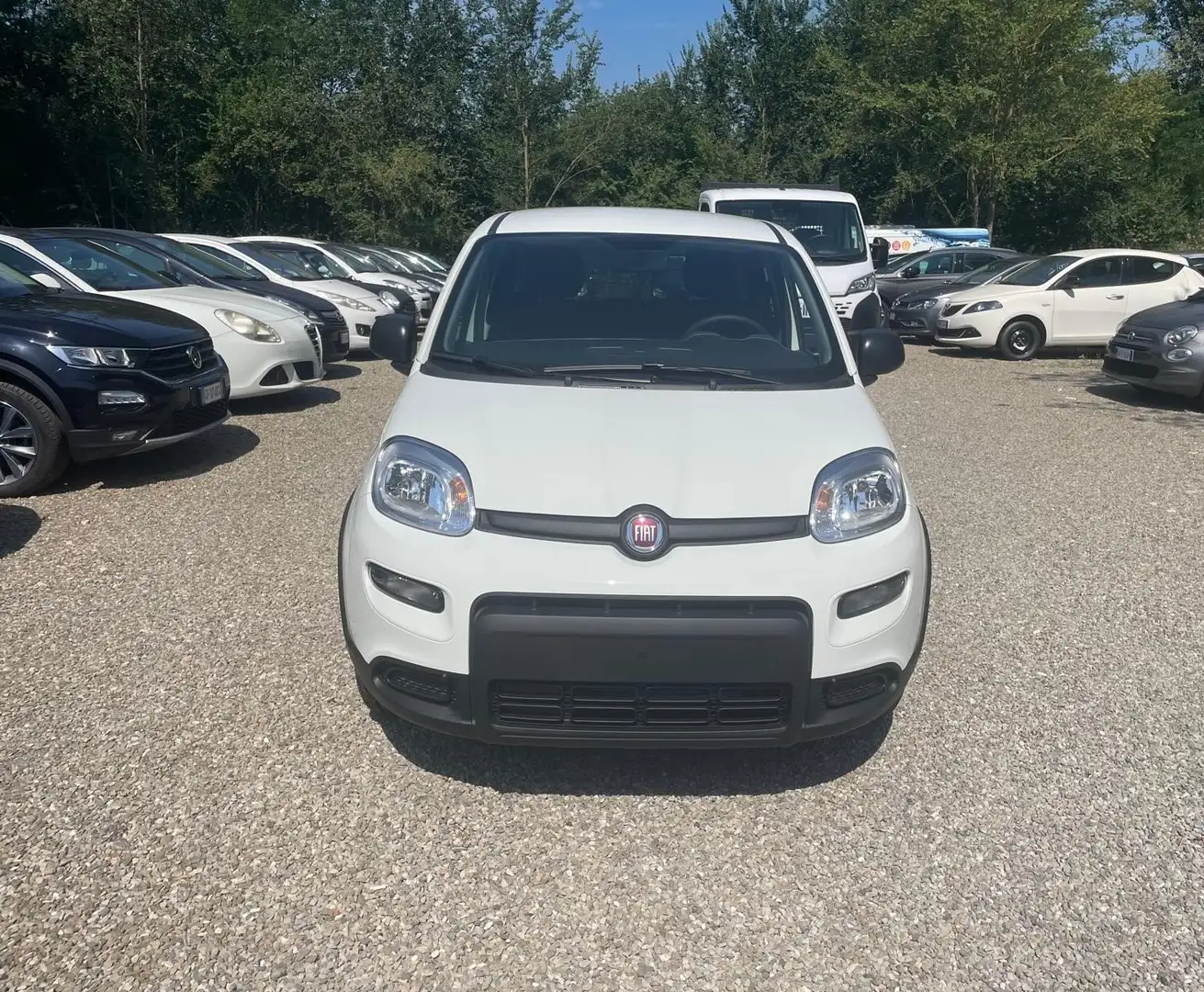 Fiat Panda VAN 1.0 HYBRID 70CV 2 POSTI MY23 - PRONTA CONSEGNA Bianco - 2