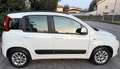 Fiat Panda 1.2 EasyPower LOUNGE x NEOPATENTATI Bianco - thumbnail 5