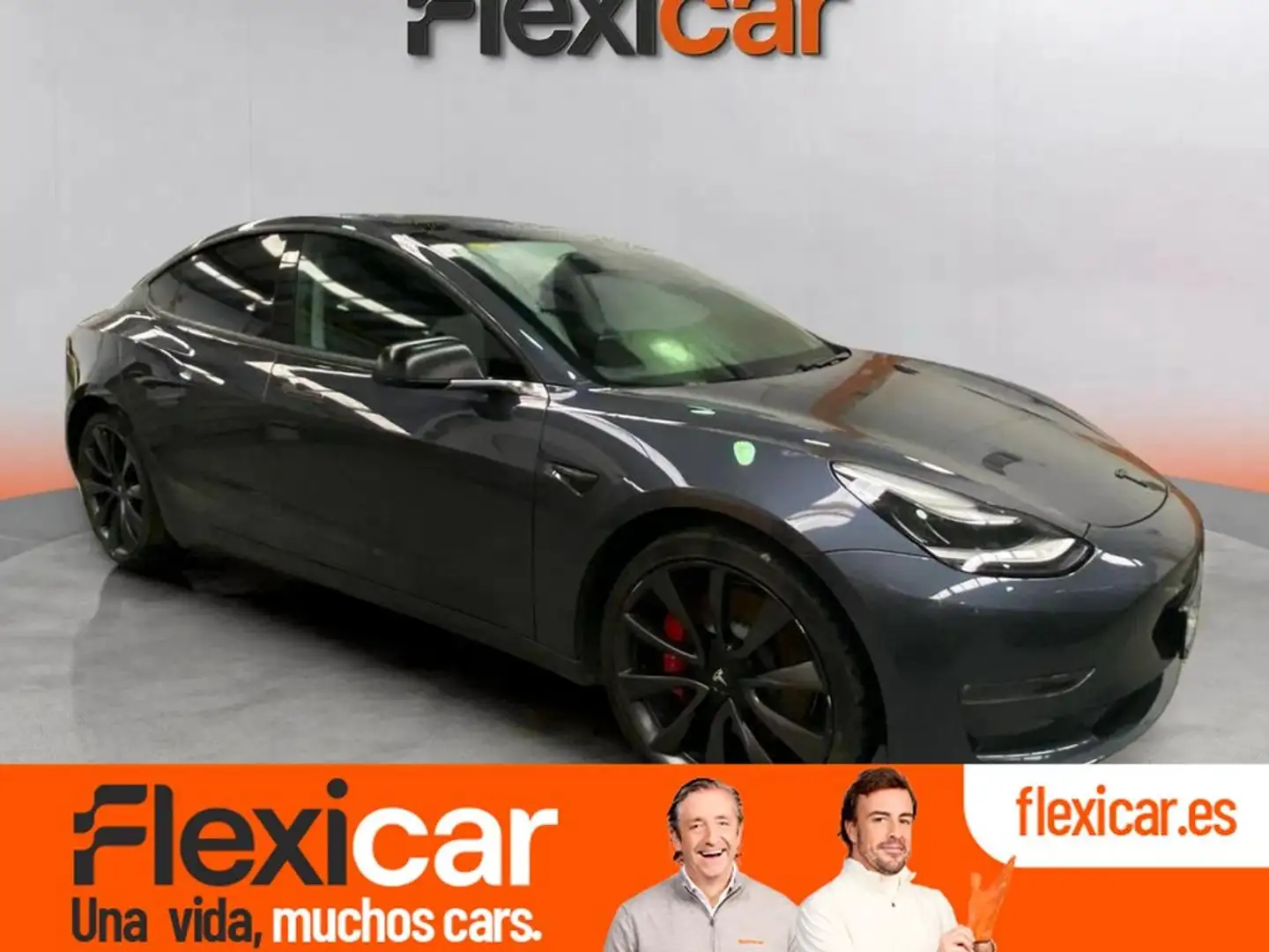 Tesla Model 3 Performance AWD Gris - 1