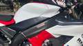 Yamaha YZF-R1 serie limitata FIRST EDITION 392/1000 - thumbnail 5