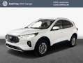 Ford Kuga 2.5 Duratec FHEV TITANIUM Weiß - thumbnail 1