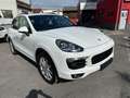 Porsche Cayenne Diesel/ Navi/ Xenon/ ACC/ Pano Wit - thumbnail 1