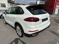 Porsche Cayenne Diesel/ Navi/ Xenon/ ACC/ Pano Wit - thumbnail 4