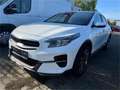 Kia XCeed Xceed 1,5 TGDI GPF Gold Weiß - thumbnail 1