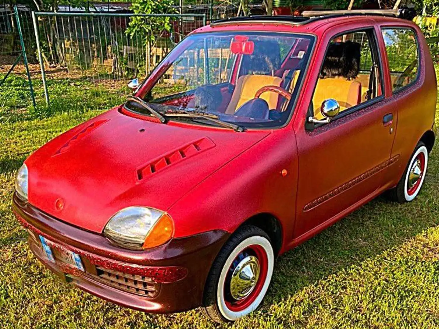 Fiat Seicento Seicento 0.9 Young Rouge - 1