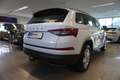 Skoda Kodiaq 2.0 TDI 4x4 MY23/AHK/Panorama/Kamera Weiß - thumbnail 5