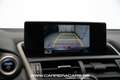 Lexus NX 300h 2.5i AWD Hybrid Line+E-CVT*|NAVI*CAMERA*REGU*ATK*| Grau - thumbnail 9