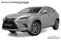 Lexus NX 300h 2.5i AWD Hybrid Line+E-CVT*|NAVI*CAMERA*REGU*ATK*| Grau - thumbnail 3