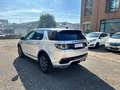 Land Rover Discovery Sport 2.0 td4 HSE Luxury awd 180cv auto my19 Gris - thumbnail 7