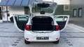 Dacia Sandero *II*Comfort*Klima*Tempomat*8-fach-Bereift Weiß - thumbnail 37