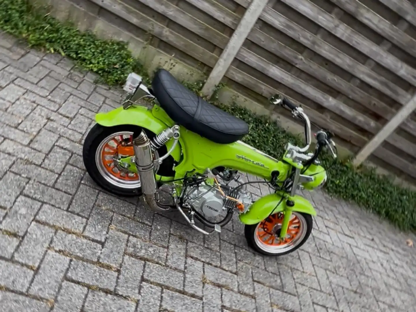 Honda DAX ST 125 Vert - 1
