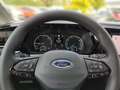 Ford Grand Tourneo Titanium 2.0 EcoBlue EU6d 7-Sitzer Navi LED ACC Me Gris - thumbnail 10