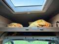 Caravans-Wohnm Knaus Knaus Boxdrive XL600 4x4 Sofort verfügbar Grau - thumbnail 8
