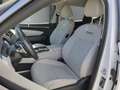 Hyundai TUCSON Prime*4WD*Matrix*Einparken per Fernb.*360°Kamera*K Blanc - thumbnail 7