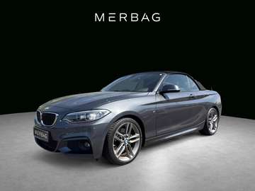 i M-Sport Cabriolet M-Paket Nav. Proff. AHK