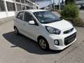 Kia Picanto 1,0 MPI Titan Weiß - thumbnail 3
