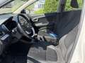 Kia Picanto 1,0 MPI Titan Weiß - thumbnail 10