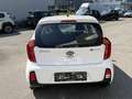 Kia Picanto 1,0 MPI Titan Weiß - thumbnail 5