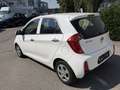 Kia Picanto 1,0 MPI Titan Weiß - thumbnail 6