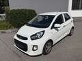 Kia Picanto 1,0 MPI Titan Weiß - thumbnail 1