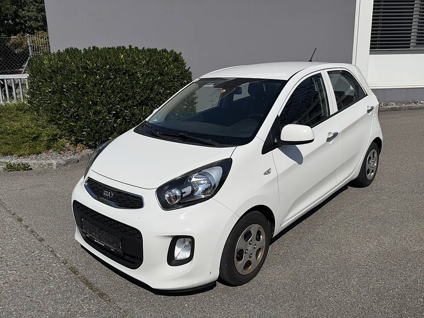 Kia Picanto 1,0 MPI Titan Weiß - 1
